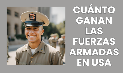 SUELDO FUERZAS ARMDAS USA